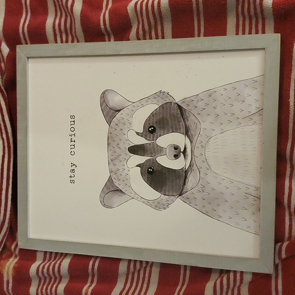"Stay curious" racoon wall decor